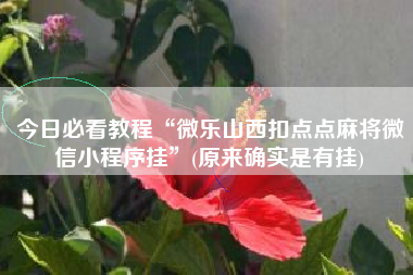 今日必看教程“微乐山西扣点点麻将微信小程序挂”(原来确实是有挂)