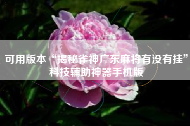 可用版本“揭秘雀神广东麻将有没有挂	”科技辅助神器手机版