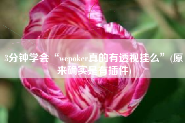 3分钟学会“wepoker真的有透视挂么	”(原来确实是有插件)