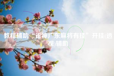 教程辅助“雀神广东麻将有挂”开挂(透视)辅助