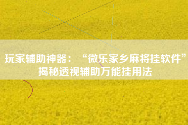 玩家辅助神器：“微乐家乡麻将挂软件”揭秘透视辅助万能挂用法