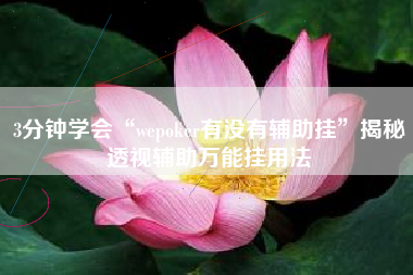 3分钟学会“wepoker有没有辅助挂”揭秘透视辅助万能挂用法
