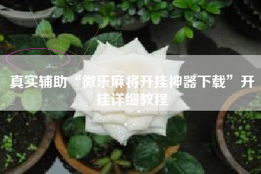 真实辅助“微乐麻将开挂神器下载”开挂详细教程