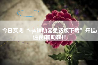 今日实测“wpk辅助器免费版下载”开挂(透视)辅助教程