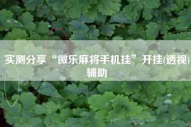 实测分享“微乐麻将手机挂”开挂(透视)辅助