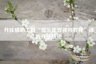 开挂辅助工具“微乐作弊视频教程”详细开挂玩法 开挂辅助工具“微乐作弊视频教程”详细开挂玩法