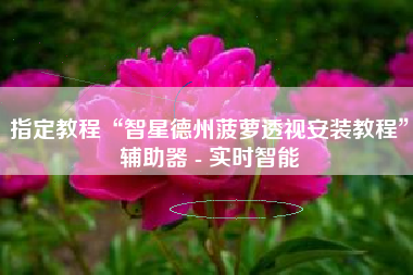 指定教程“智星德州菠萝透视安装教程	”辅助器 - 实时智能