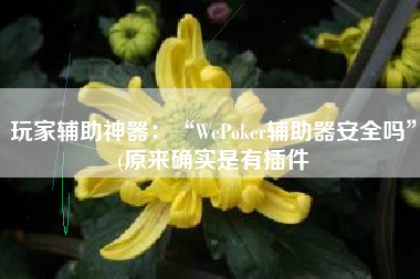 玩家辅助神器：“WePoker辅助器安全吗	”(原来确实是有插件