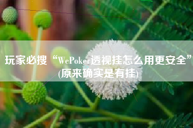 玩家必搜“WePoker透视挂怎么用更安全	”(原来确实是有挂)