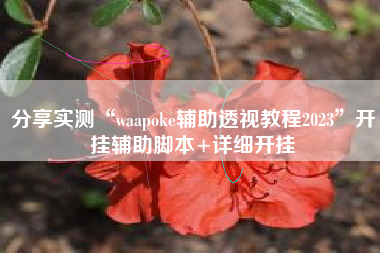 分享实测“waapoke辅助透视教程2023	”开挂辅助脚本+详细开挂