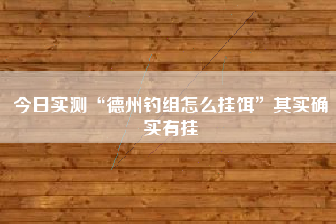 今日实测“德州钓组怎么挂饵	”其实确实有挂