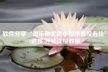 软件分享“微乐锄大地小程序有没有挂”(透视)开挂详细教程