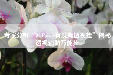 专家分析“WePoKer有没有透视挂”揭秘透视辅助万能挂