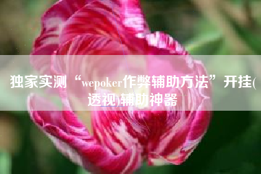 独家实测“wepoker作弊辅助方法”开挂(透视)辅助神器
