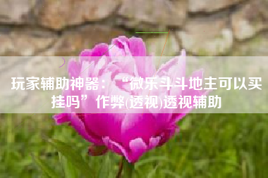 玩家辅助神器：“微乐斗斗地主可以买挂吗”作弊(透视)透视辅助