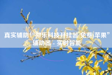 真实辅助“微乐科技开挂器(免费)苹果	”辅助器 - 实时智能
