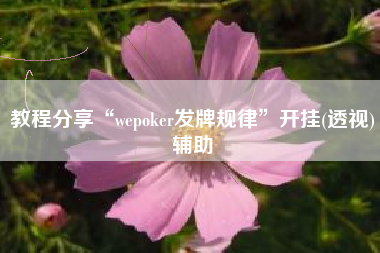 教程分享“wepoker发牌规律”开挂(透视)辅助