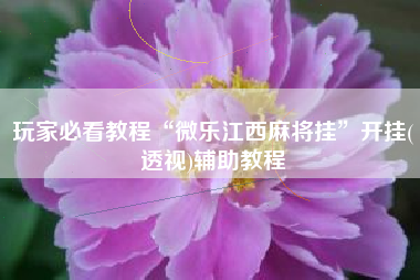 玩家必看教程“微乐江西麻将挂”开挂(透视)辅助教程