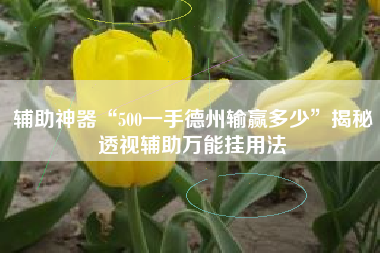 辅助神器“500一手德州输赢多少	”揭秘透视辅助万能挂用法