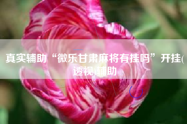 真实辅助“微乐甘肃麻将有挂吗”开挂(透视)辅助