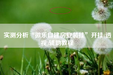 实测分析“微乐自建房安装挂	”开挂(透视)辅助教程