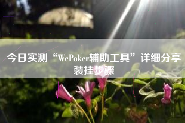 今日实测“WePoker辅助工具	”详细分享装挂步骤