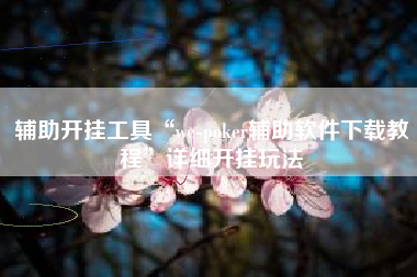 辅助开挂工具“we-poker辅助软件下载教程	”详细开挂玩法