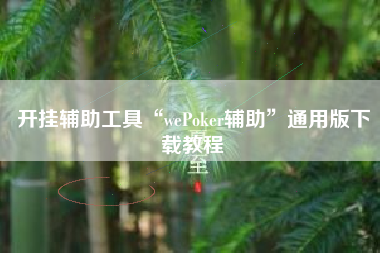开挂辅助工具“wePoker辅助”通用版下载教程
