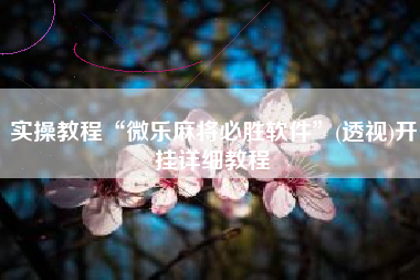 实操教程“微乐麻将必胜软件	”(透视)开挂详细教程