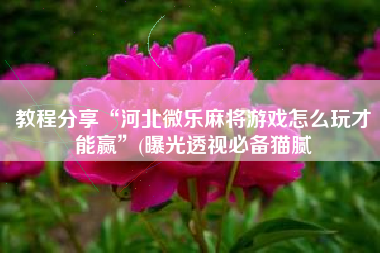 教程分享“河北微乐麻将游戏怎么玩才能赢”(曝光透视必备猫腻