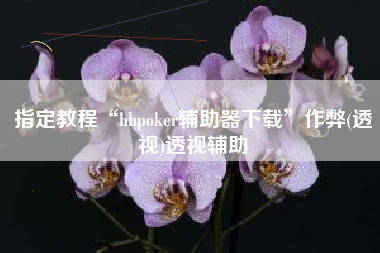 指定教程“hhpoker辅助器下载	”作弊(透视)透视辅助