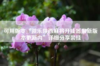 可用版本“微乐陕西麻将开挂器最新版本更新内”详细分享装挂