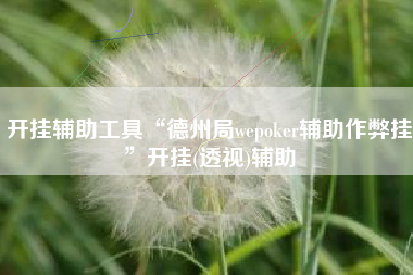 开挂辅助工具“德州局wepoker辅助作弊挂	”开挂(透视)辅助