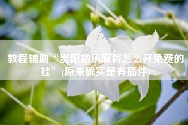 教程辅助“贵阳微乐麻将怎么开免费的挂	”(原来确实是有插件)