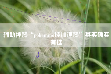 辅助神器“pokemmo挂加速器”其实确实有挂