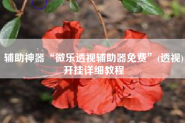 辅助神器“微乐透视辅助器免费”(透视)开挂详细教程