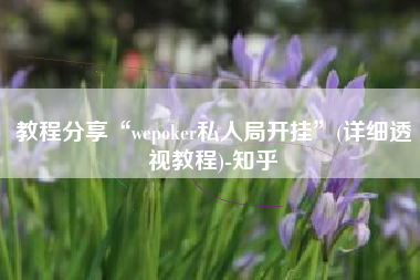 教程分享“wepoker私人局开挂”(详细透视教程)-知乎