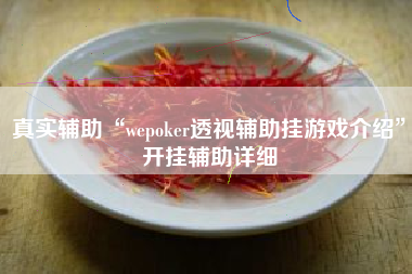 真实辅助“wepoker透视辅助挂游戏介绍	”开挂辅助详细