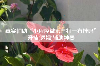 真实辅助“小程序微乐三打一有挂吗”开挂(透视)辅助神器
