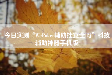 今日实测“WePoker辅助挂安全吗	”科技辅助神器手机版