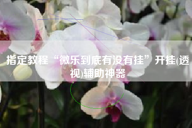 指定教程“微乐到底有没有挂”开挂(透视)辅助神器