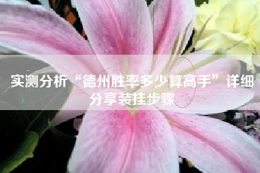 实测分析“德州胜率多少算高手”详细分享装挂步骤