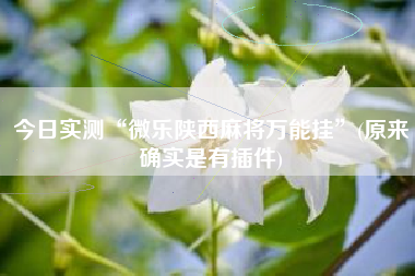 今日实测“微乐陕西麻将万能挂”(原来确实是有插件)