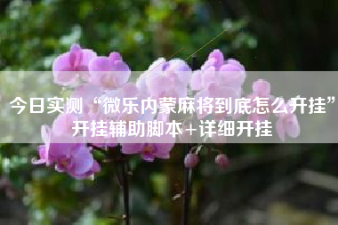 今日实测“微乐内蒙麻将到底怎么开挂	”开挂辅助脚本+详细开挂