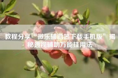 教程分享“微乐辅助器下载手机版”揭秘透视辅助万能挂用法