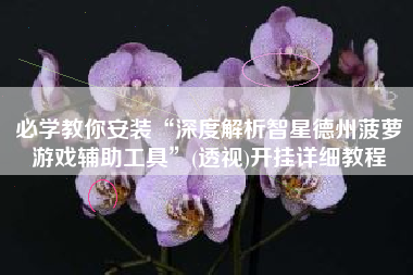 必学教你安装“深度解析智星德州菠萝游戏辅助工具”(透视)开挂详细教程