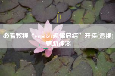必看教程“wepoker规律总结	”开挂(透视)辅助神器