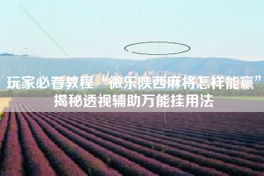 玩家必看教程“微乐陕西麻将怎样能赢”揭秘透视辅助万能挂用法
