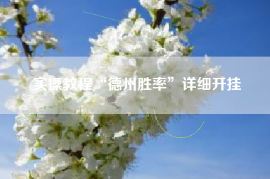 实操教程“德州胜率”详细开挂