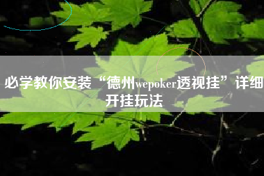 必学教你安装“德州wepoker透视挂”详细开挂玩法
